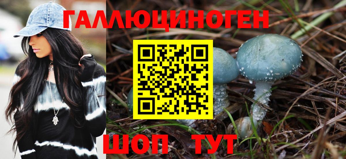 Новоалександровск  Псилоцибиновые грибы MAGIC MUSHROOMS  Вход с VPN 