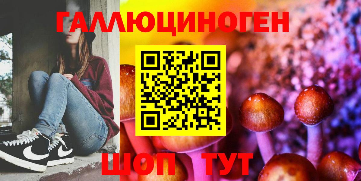Галлюциногенные грибы прущие грибы Новоалександровск